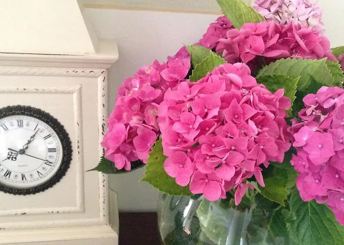 Hotel Agnese Sestri Levante