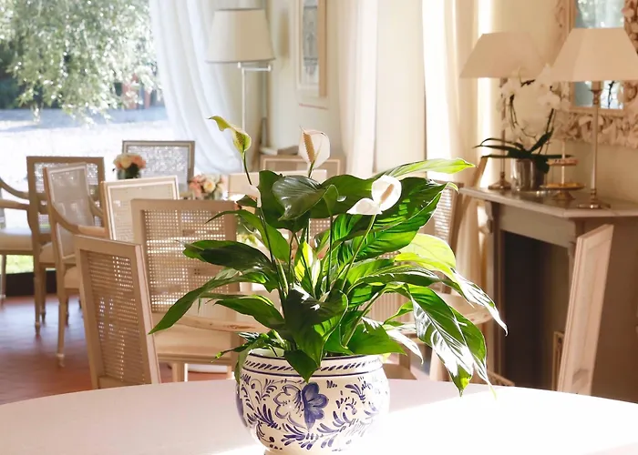 Agnese Sestri Levante